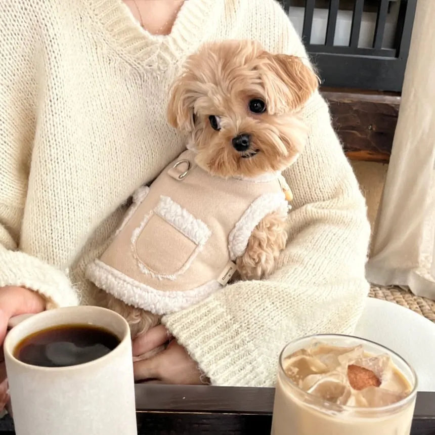 Padded Winter Cat Coat – Fleece-Lined Insulated Jacket with Harness Hole