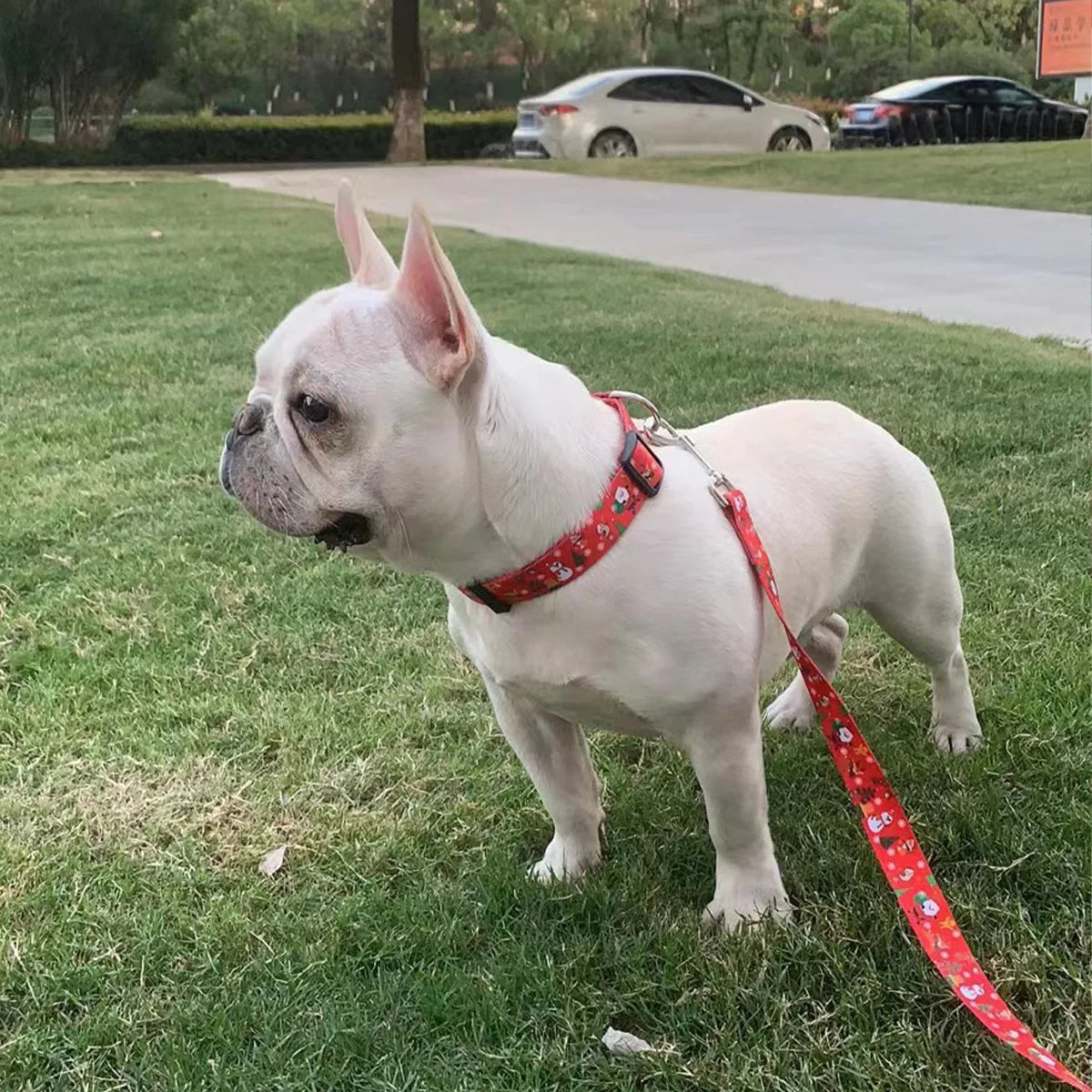 Christmas Dog Collar and Leash Set – Holiday Matching Lead
