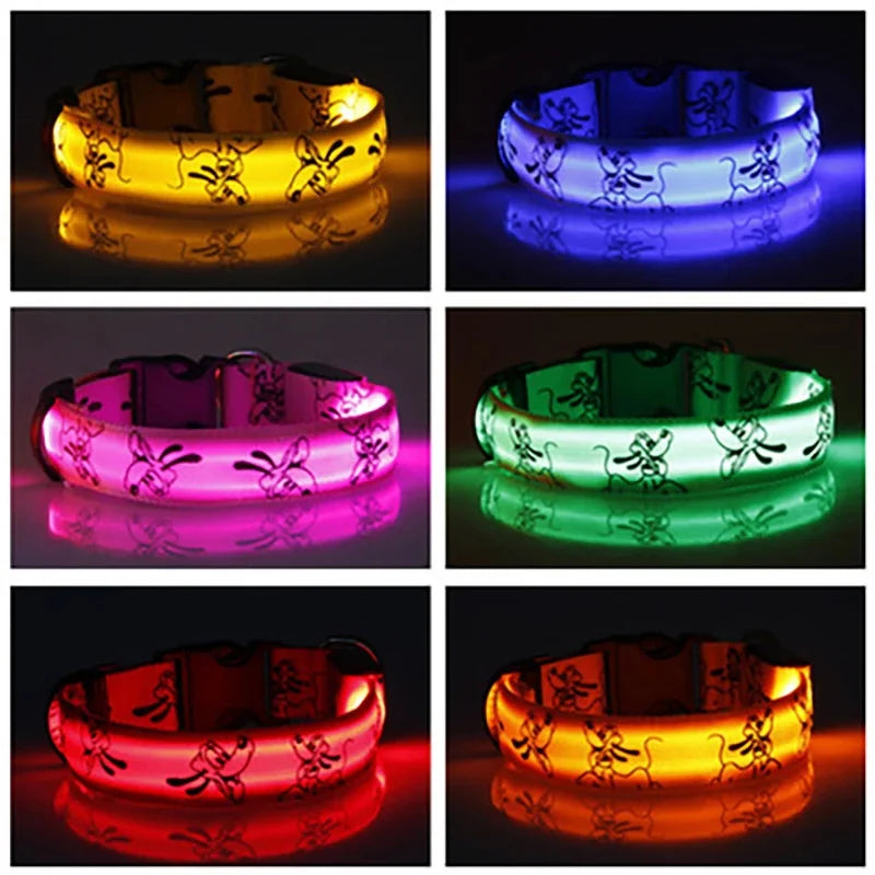 USB Rechargeable LED Dog Collar