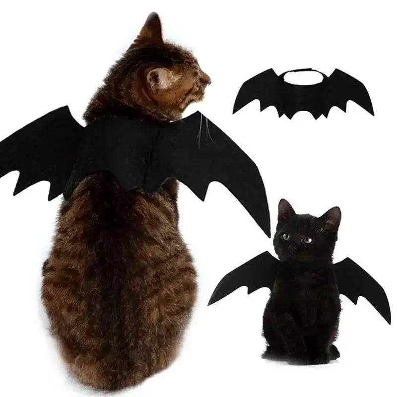 Bat Wings Pet Costume for Halloween