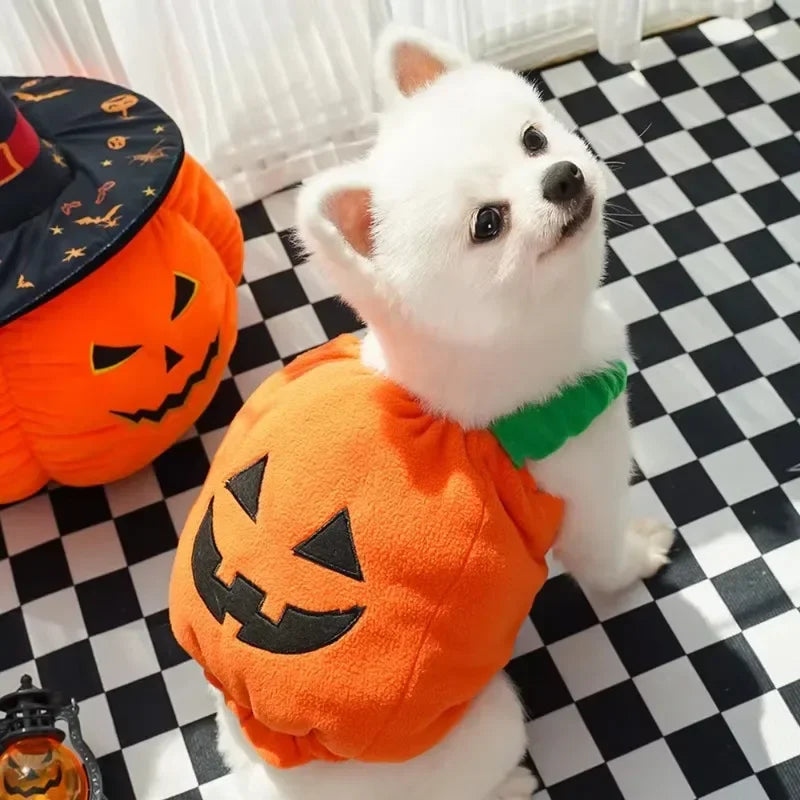 Plush Pumpkin Pet Costume for Halloween
