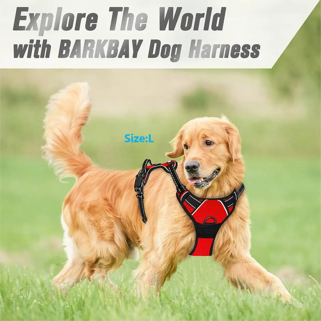 No-Pull Front-Clip Reflective Dog Harness