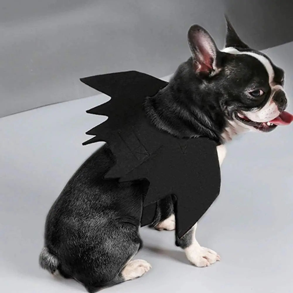Bat Wings Pet Costume for Halloween