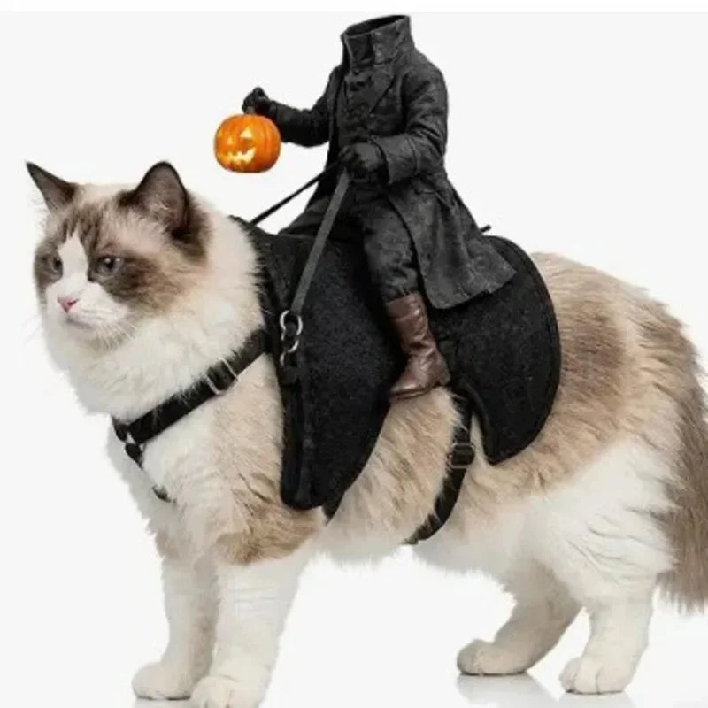 Headless Horseman Rider Dog Costume
