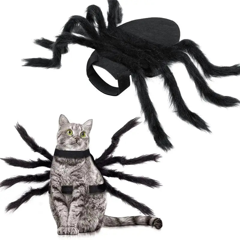Spider Pet Costume for Halloween