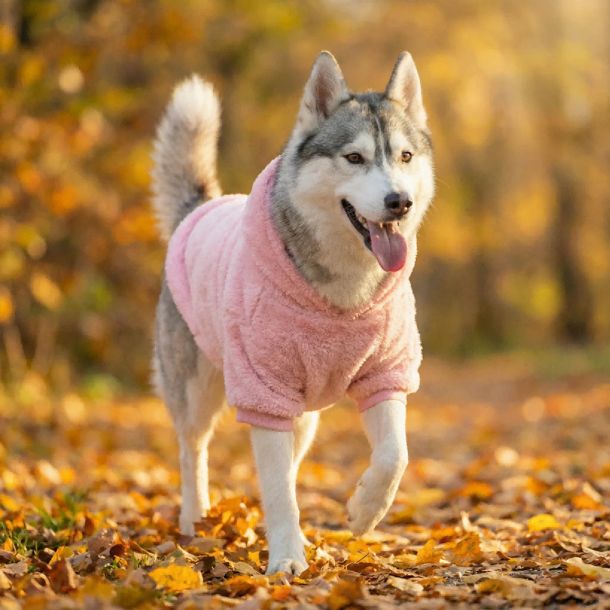 Fleece Dog Hoodie with Kangaroo Pocket – Warm Winter Coat