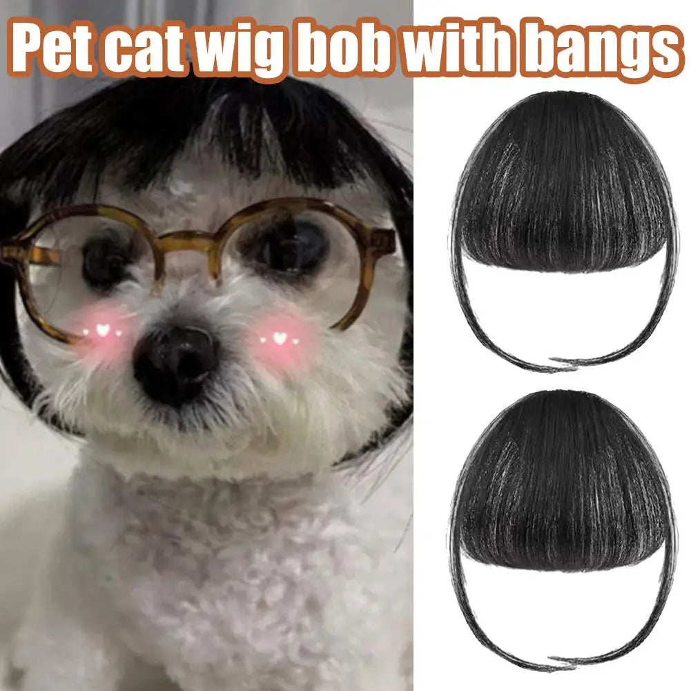 Funny Pet Wigs for Cats & Dogs