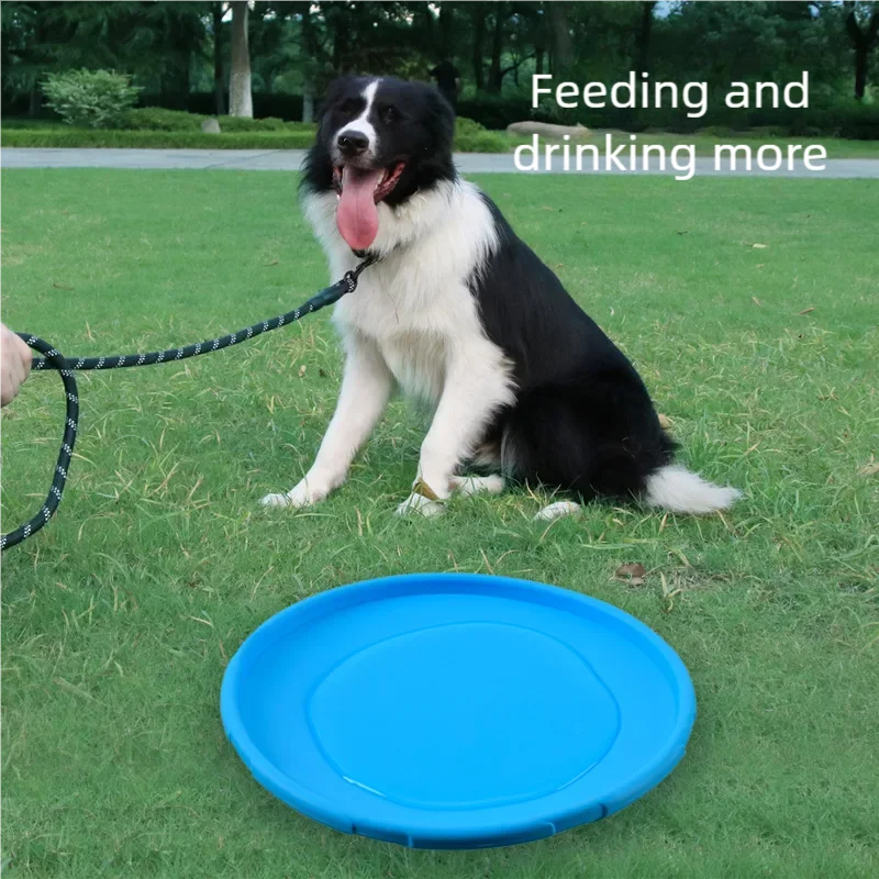 Soft TPR Flying Disc – Bite-Resistant Dog Frisbee