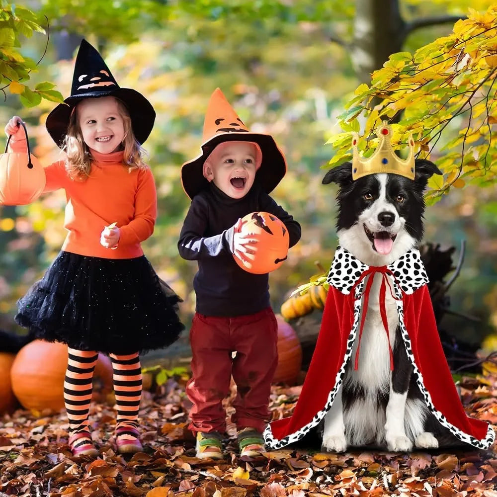 Royal King Cloak & Crown Dog Costume