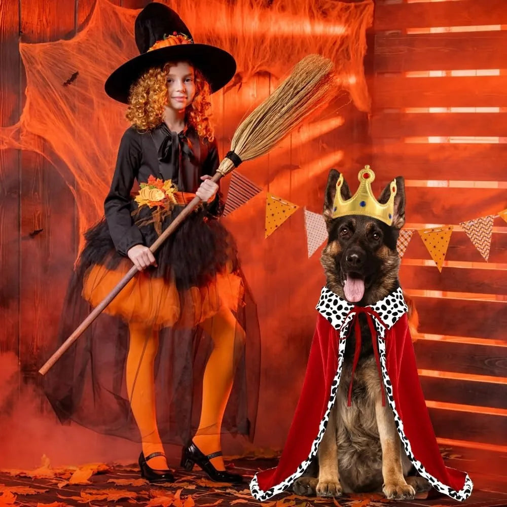 Royal King Cloak & Crown Dog Costume