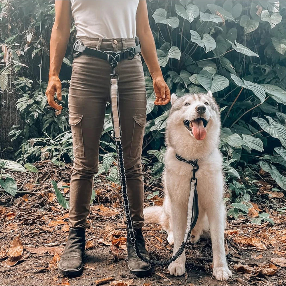 Hands-Free Waist Dog Leash – Crossbody & Jogging