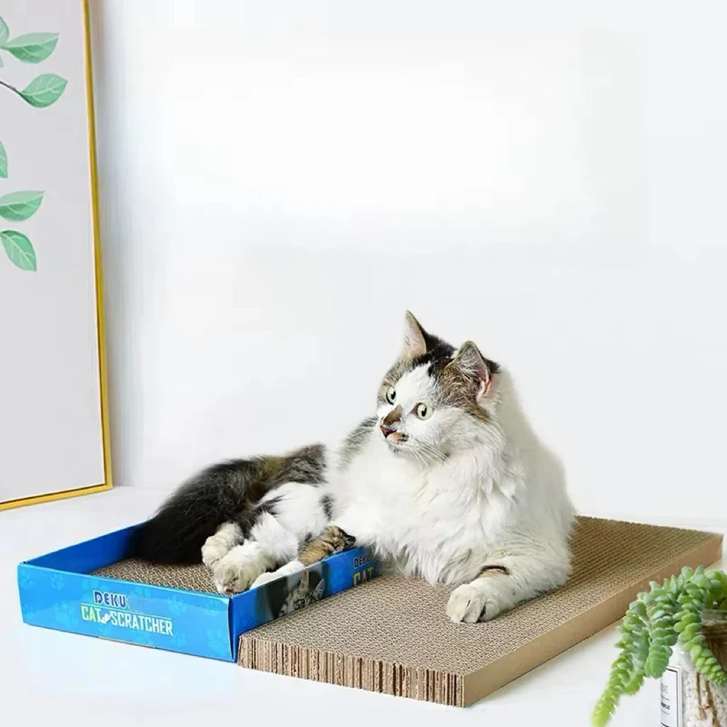 Cat Scratching Lounge Board