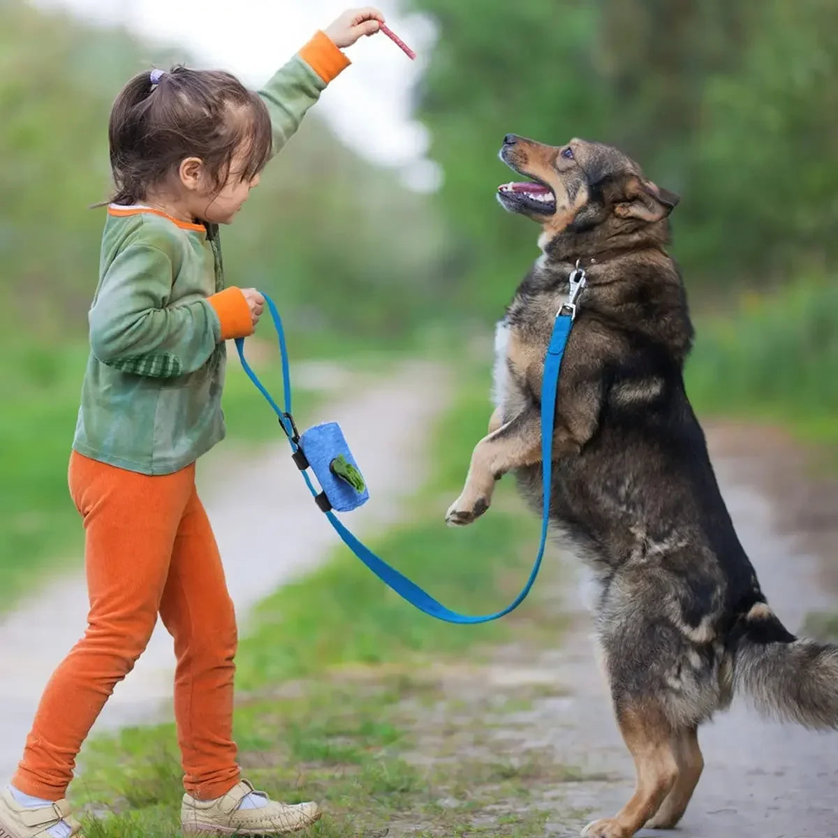 Dog Poop Bag Dispenser + Waste Bag Rolls