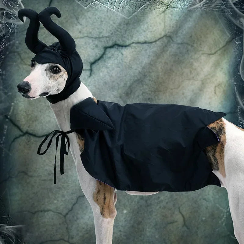 Pet Witch Hat & Cape Set – Halloween Costume