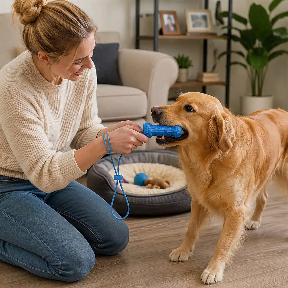 Dog Chew Toothbrush Stick – Dental Cleaning Toy