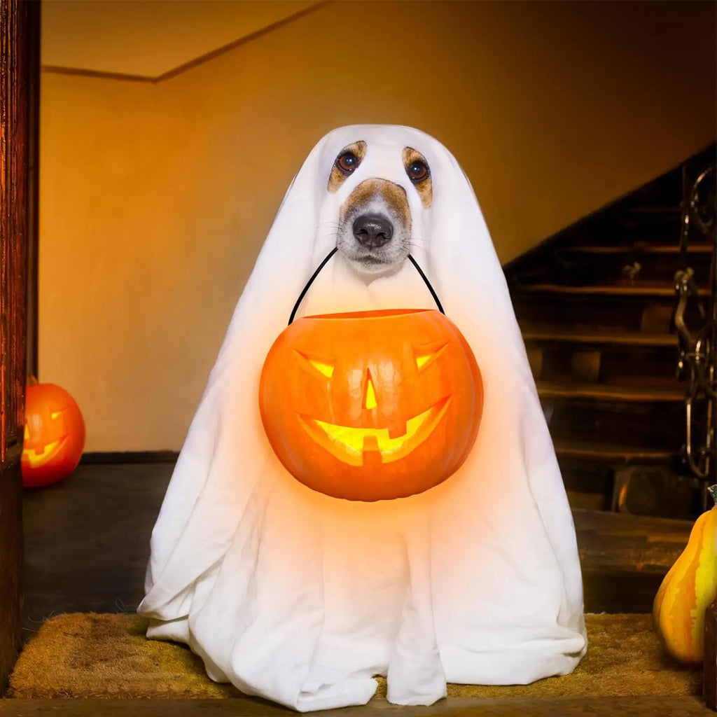Ghost Dog Hoodie – Halloween Costume for Dogs