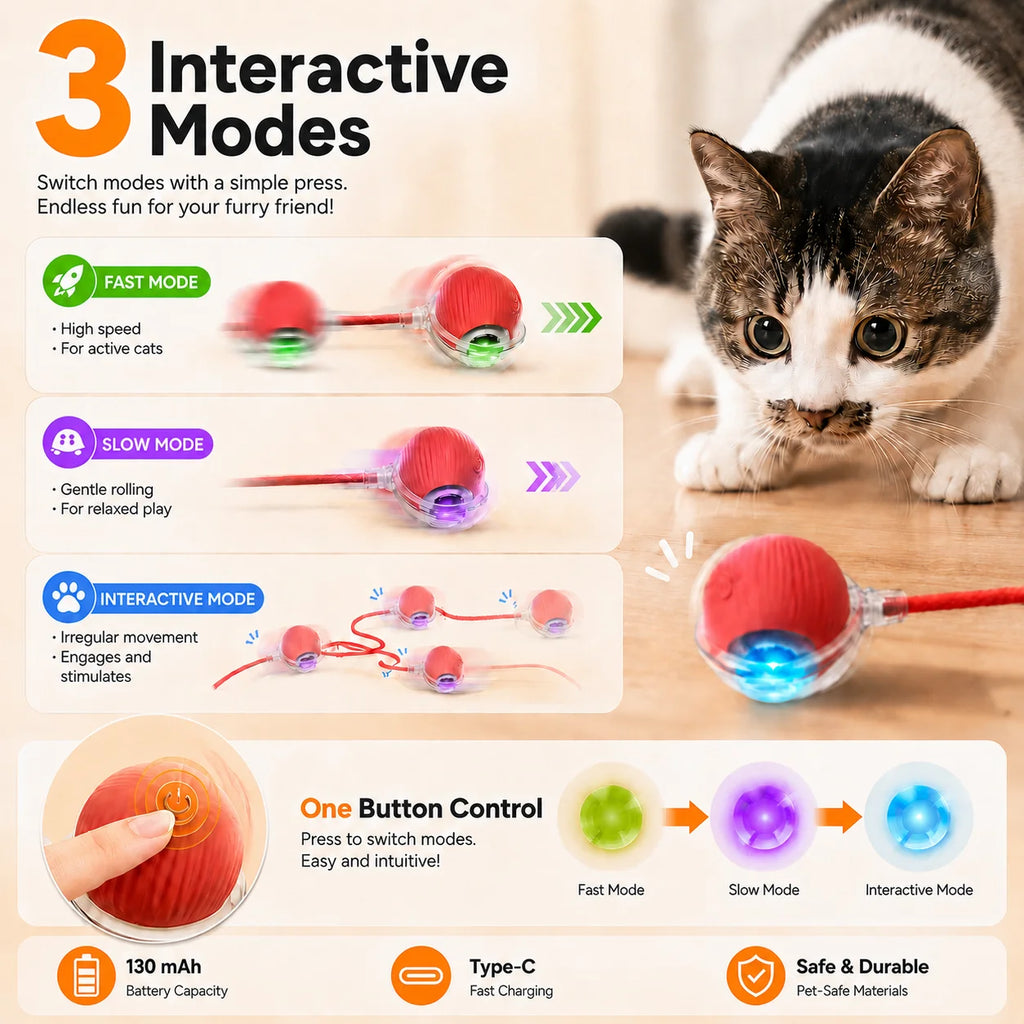 Interactive Rolling Ball Toy for Cats & Dogs
