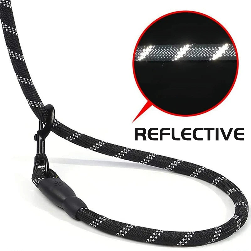 Reflective Dog Leash – Night-Safe Walking