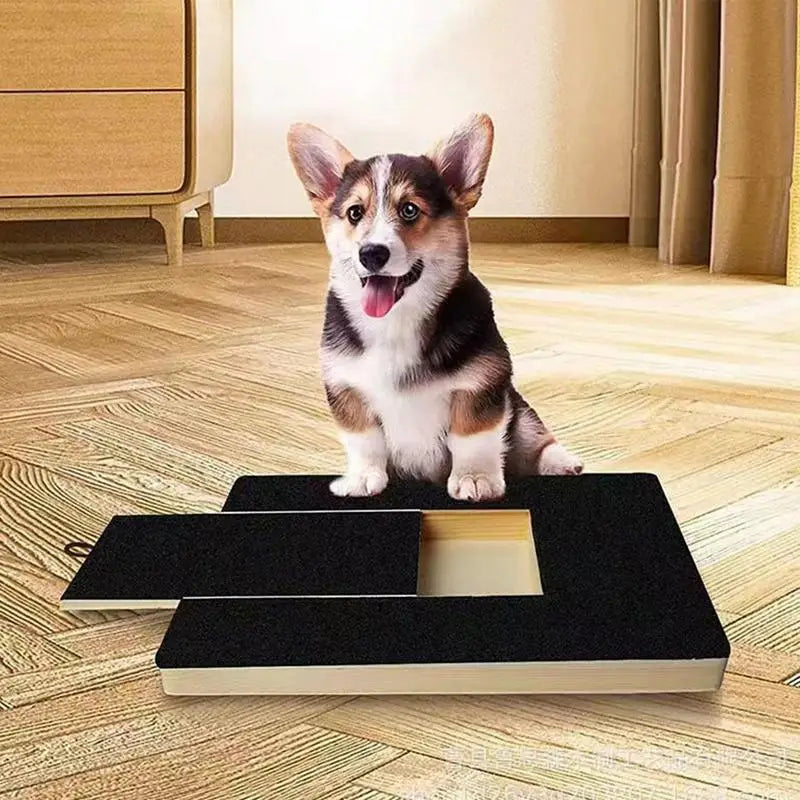 Dog Nail Scratch Filing Board with Treat Box
