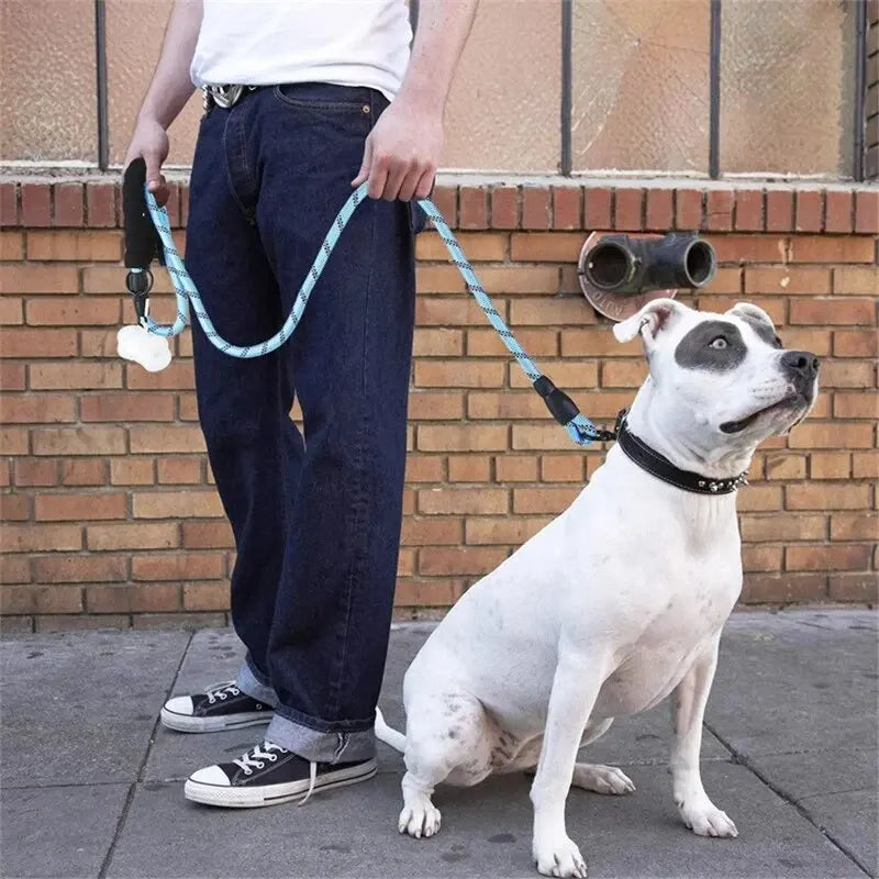 Reflective Dog Leash – Night-Safe Walking