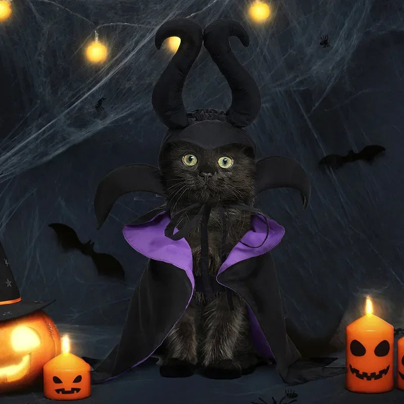 Pet Witch Hat & Cape Set – Halloween Costume