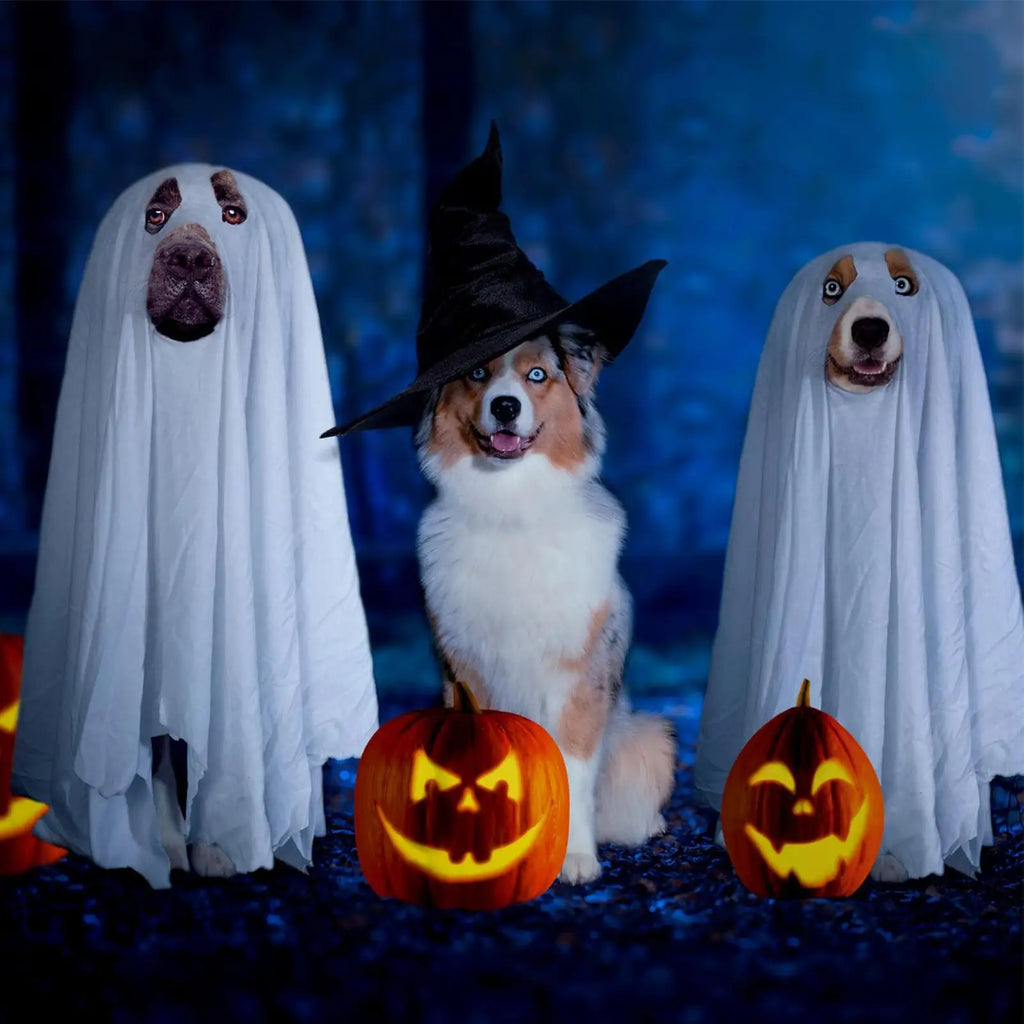 Ghost Dog Hoodie – Halloween Costume for Dogs