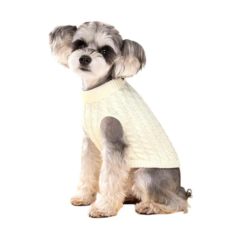 Knit Turtleneck Dog Sweater – Winter Warm