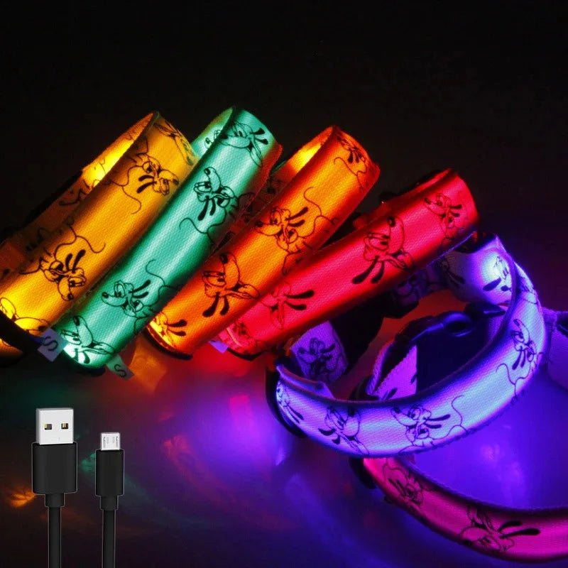 USB Rechargeable LED Dog Collar