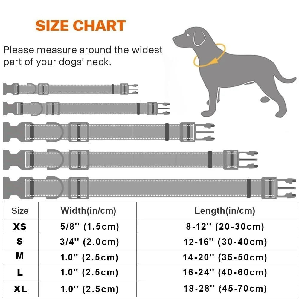 Reflective Nylon Dog Collar – Night-Safe Walking Collar