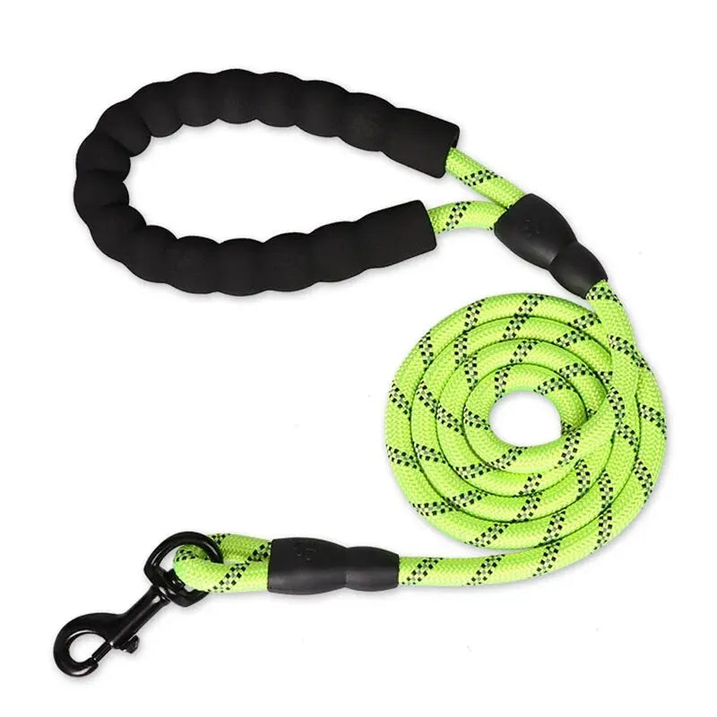 Reflective Dog Leash – Night-Safe Walking