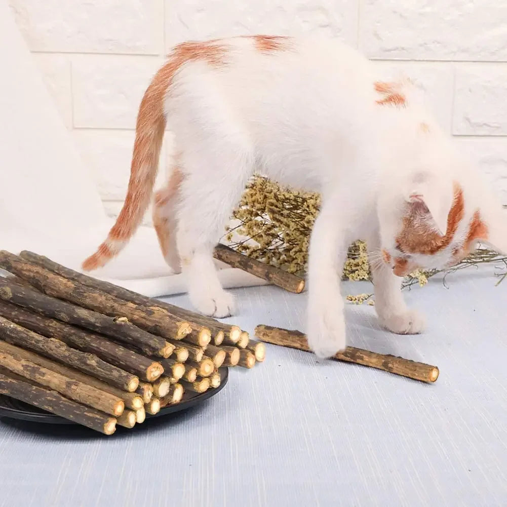 Matatabi Silvervine Chew Sticks for Cats