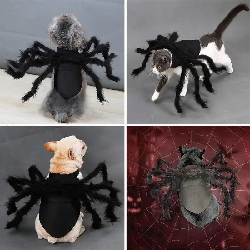 Spider Pet Costume for Halloween