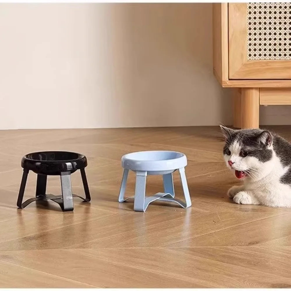Elevated Double Dog Bowl Stand