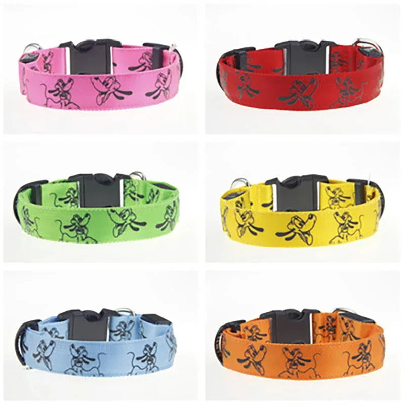 USB Rechargeable LED Dog Collar