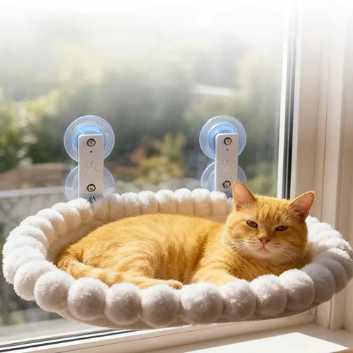 Cat Window Hammock Perch with Suction Cups