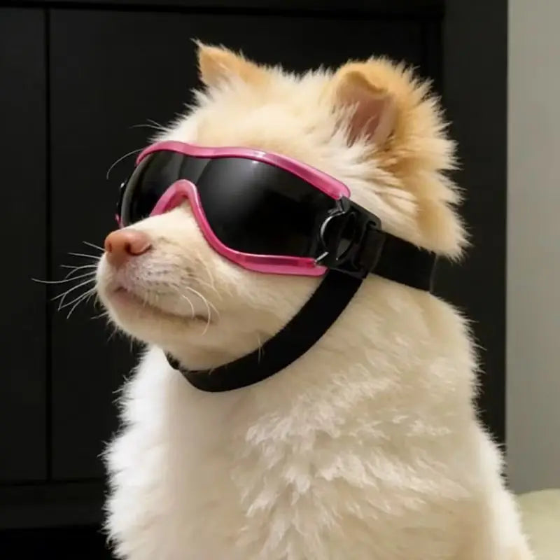 UV Dog Sunglasses – Windproof & Dustproof Goggles