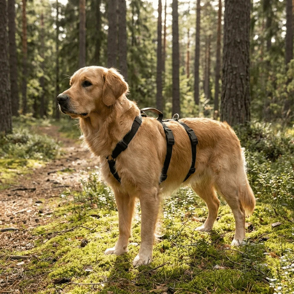 Dog Traction Supplies Adjustable Dog Harness Vest Anti Breakaway Durable Dog Anti Escape Vest Comfortable Training Vest Hiking