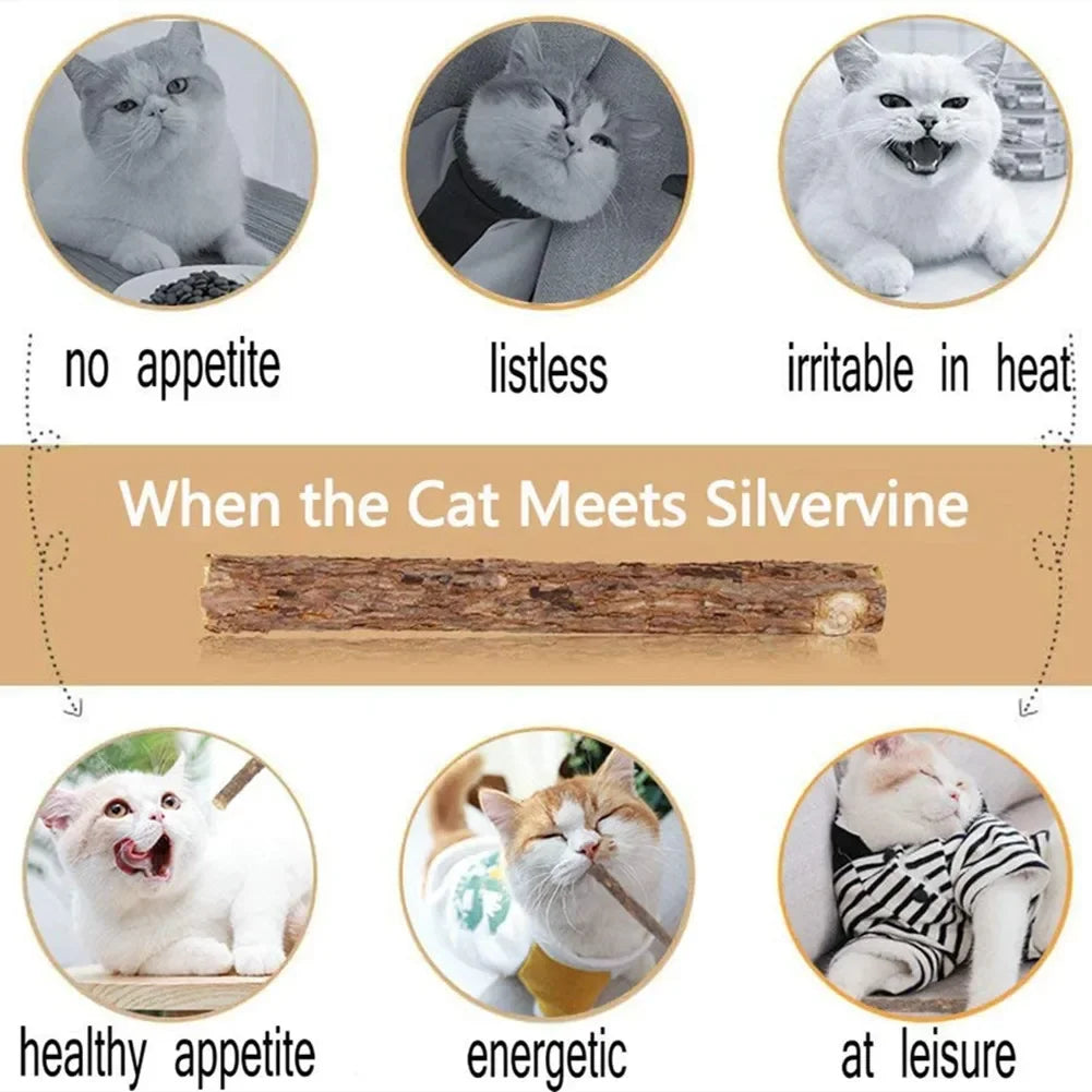 Matatabi Silvervine Chew Sticks for Cats