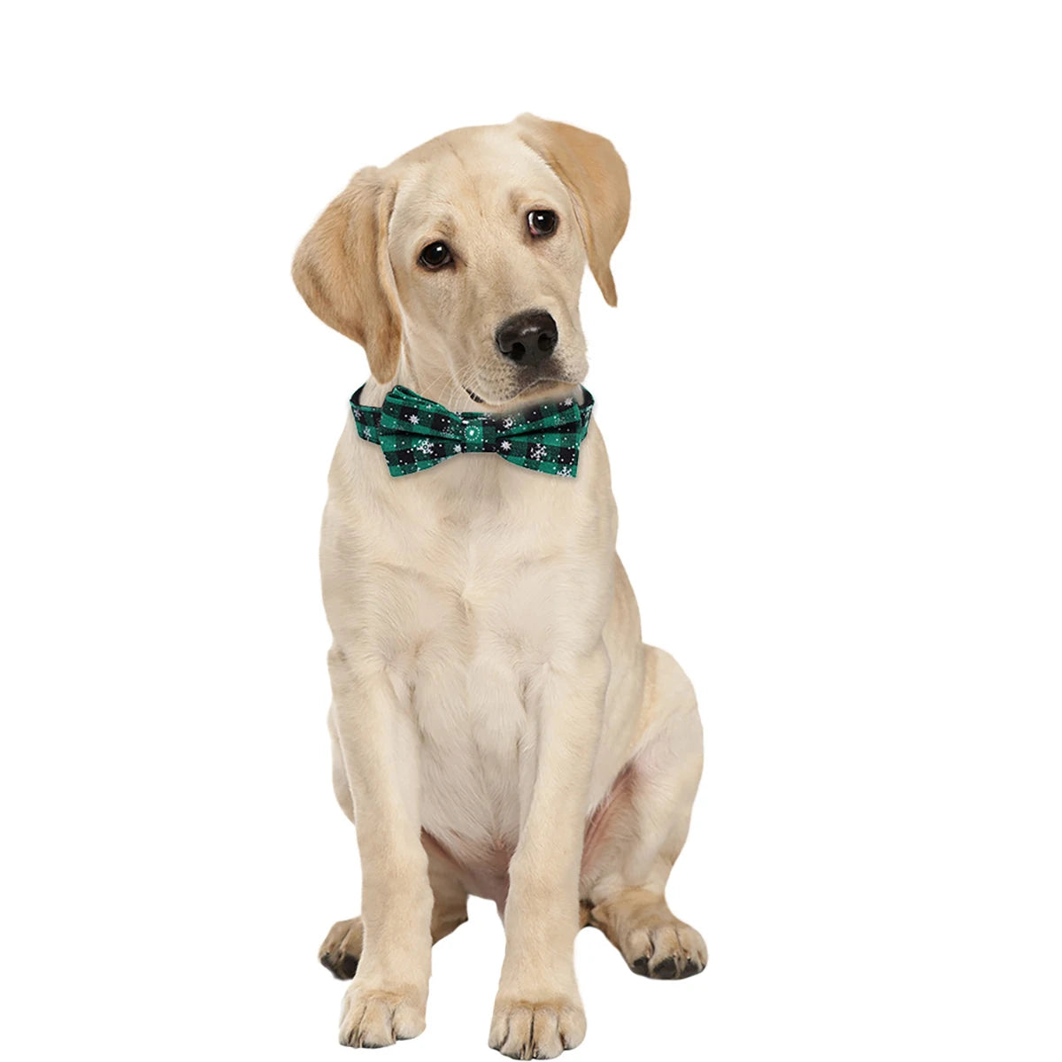 Christmas-Print Dog Collar – Festive Holiday Collar