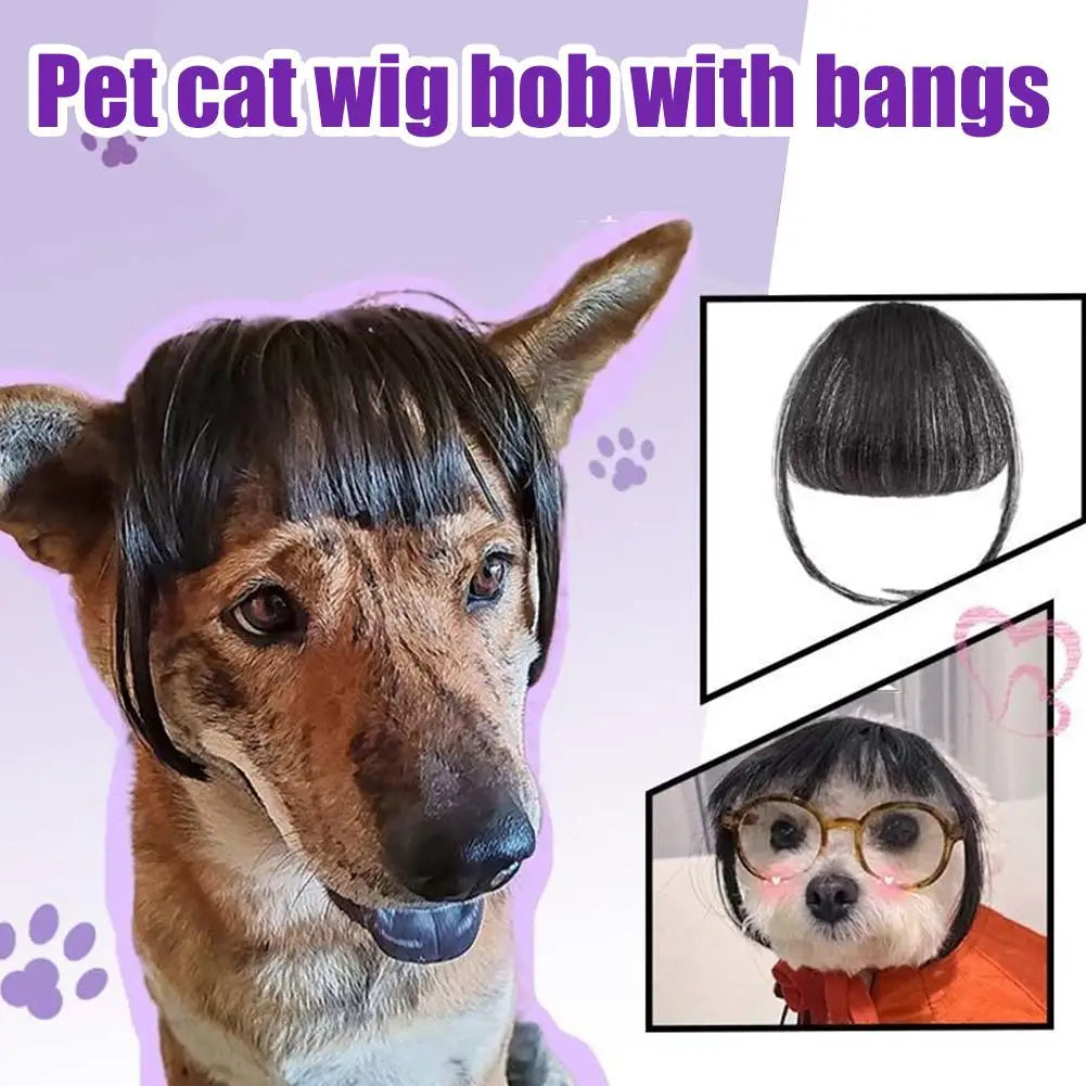 Funny Pet Wigs for Cats & Dogs