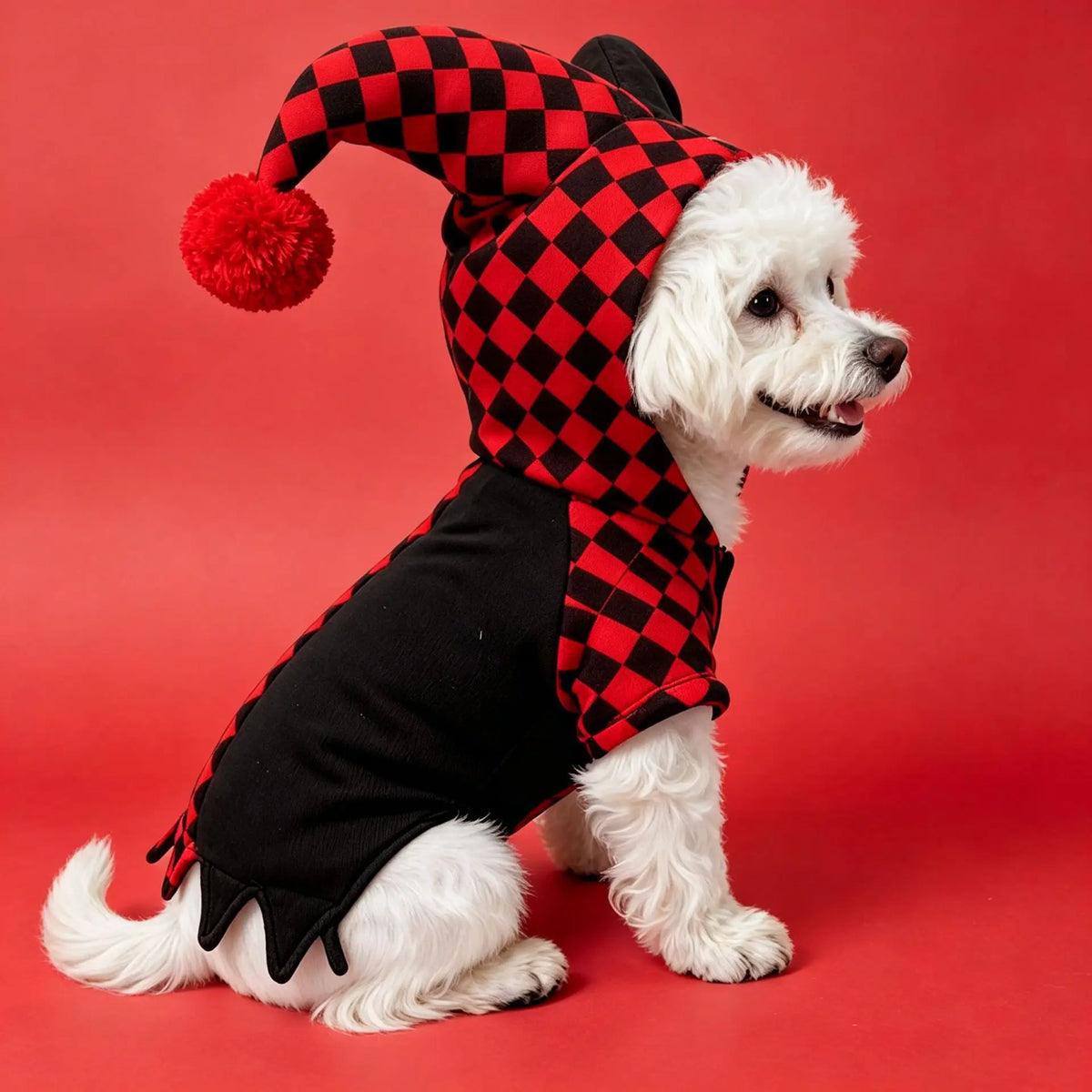 Clown Pet Costume for Halloween