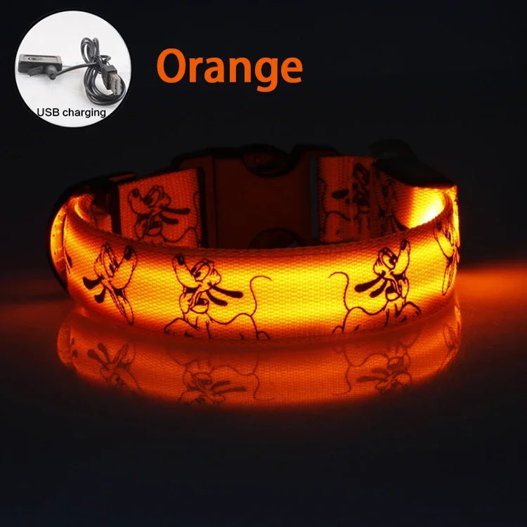 USB Rechargeable LED Dog Collar