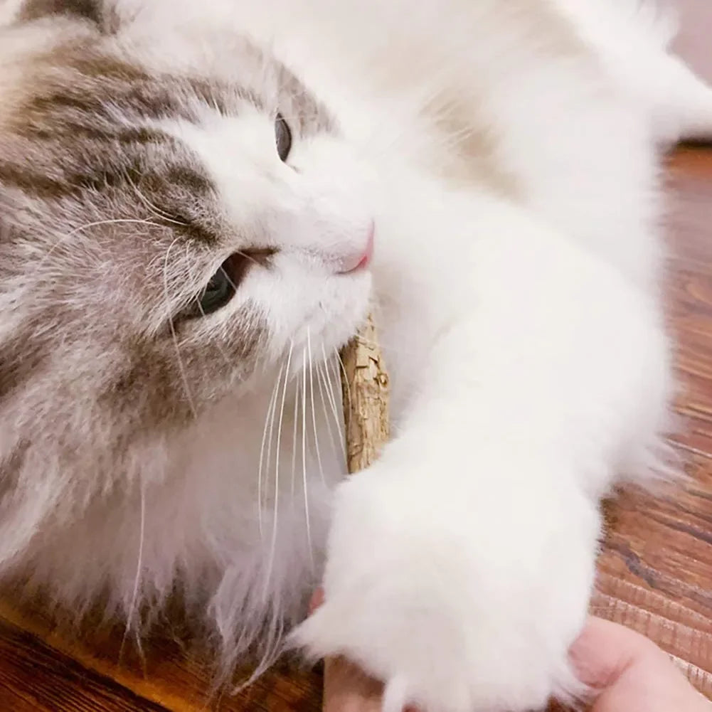 Matatabi Silvervine Chew Sticks for Cats