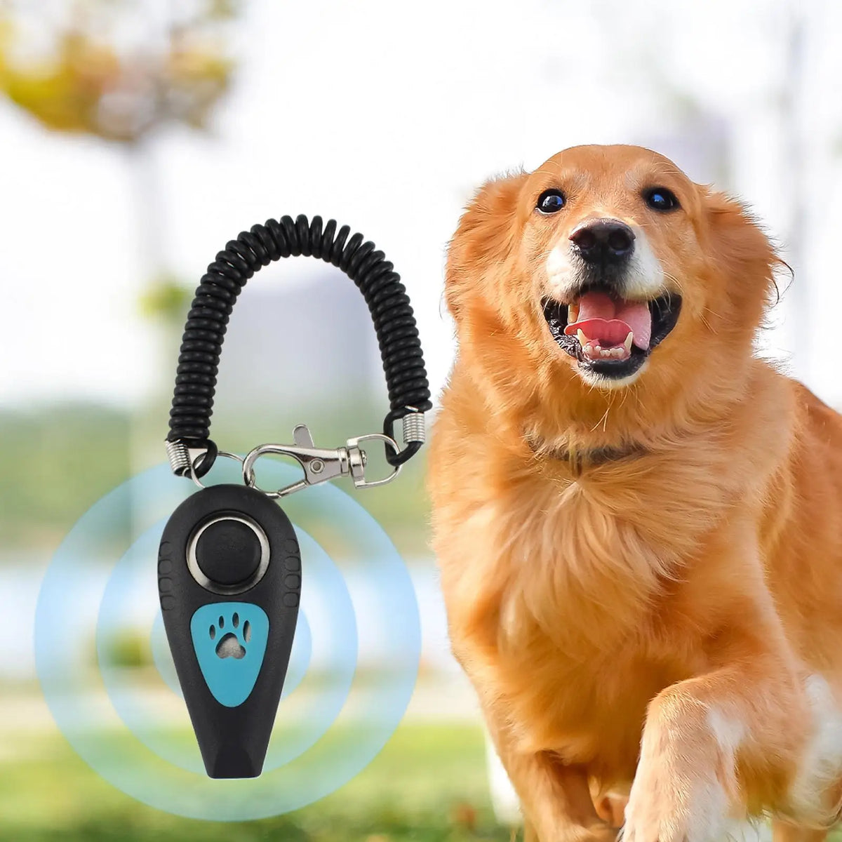 Dog Training Clicker & Whistle Set