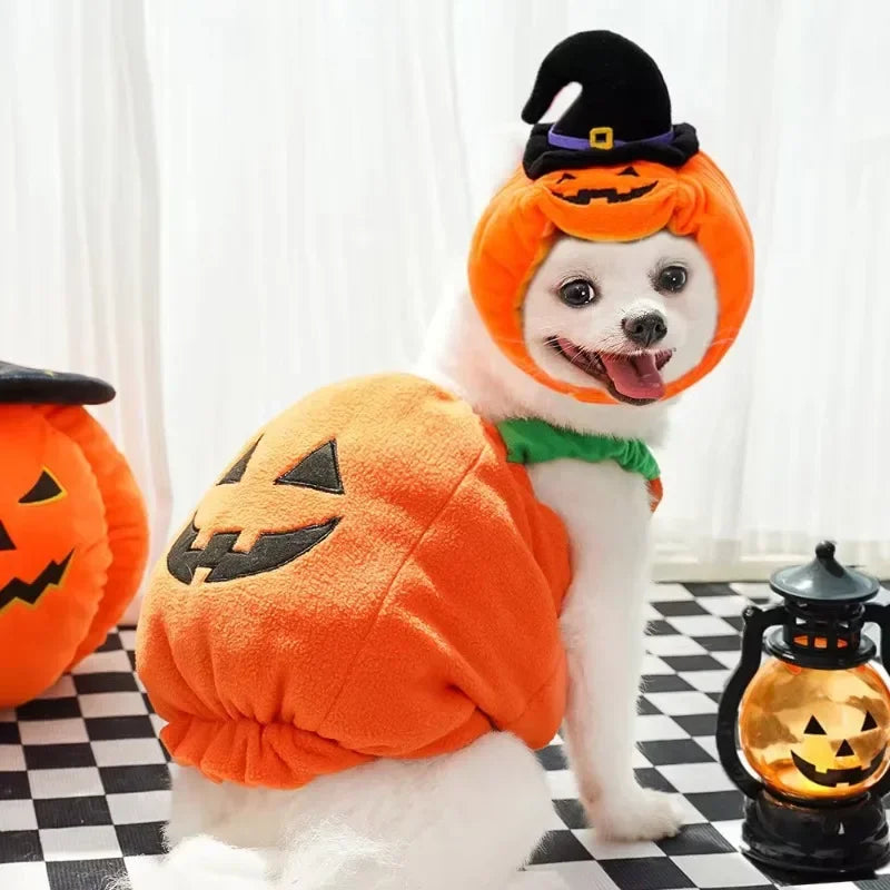 Plush Pumpkin Pet Costume for Halloween