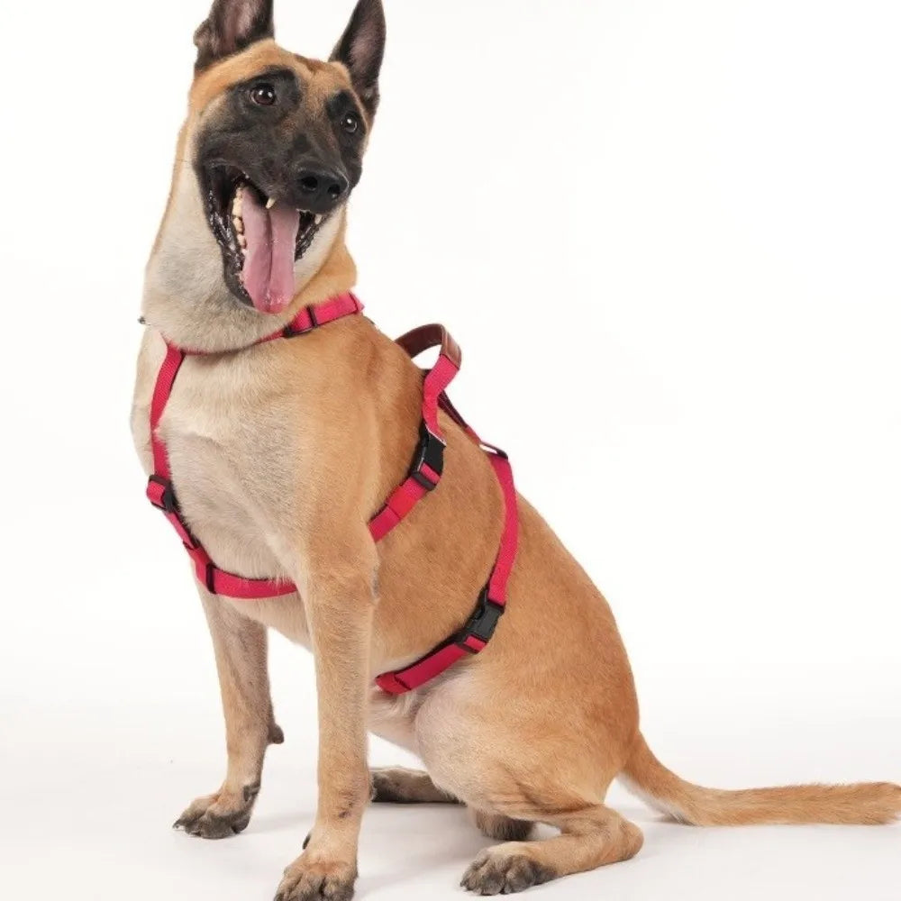 Dog Traction Supplies Adjustable Dog Harness Vest Anti Breakaway Durable Dog Anti Escape Vest Comfortable Training Vest Hiking