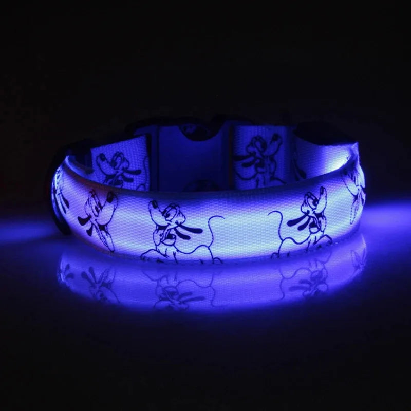 USB Rechargeable LED Dog Collar