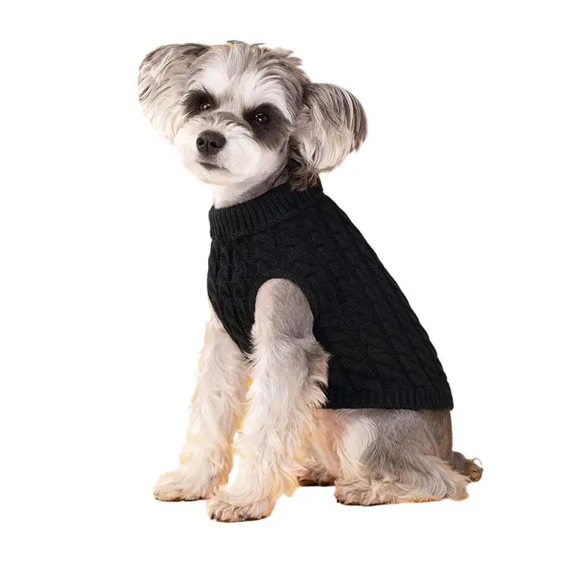 Knit Turtleneck Dog Sweater – Winter Warm