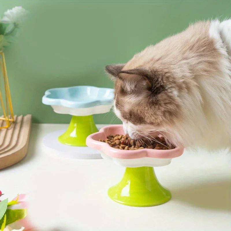 Ceramic Elevated Cat Bowl