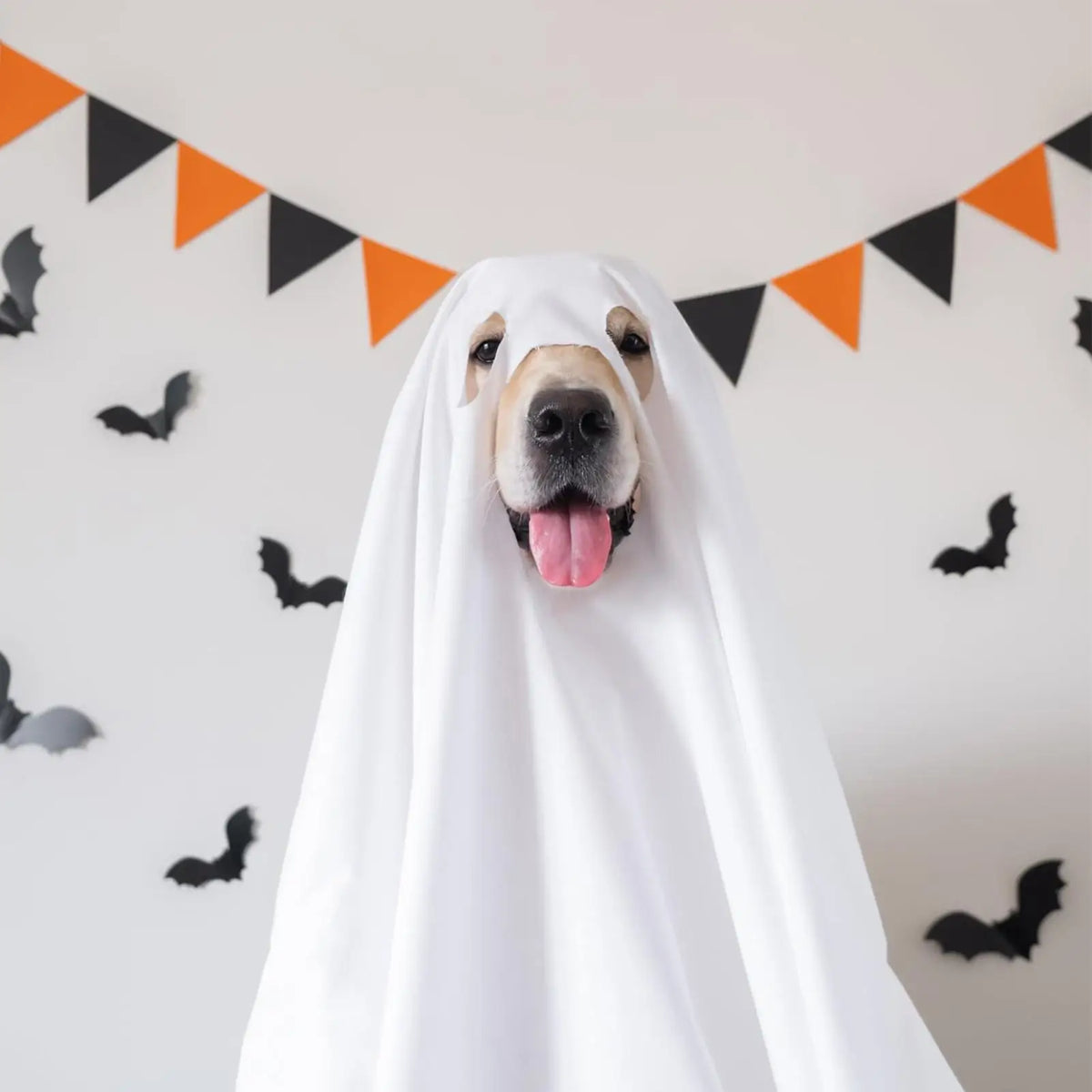 Ghost Dog Hoodie – Halloween Costume for Dogs